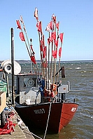 Fischer von Rügen